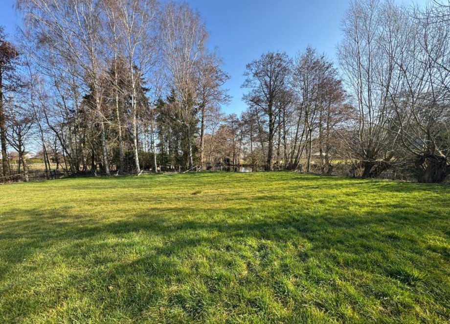 31 Gr�nfl�che Einfamilienhaus Blender