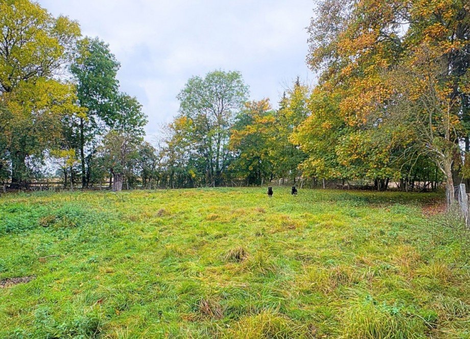 07 Gr�nfl�che Haus Thedinghausen