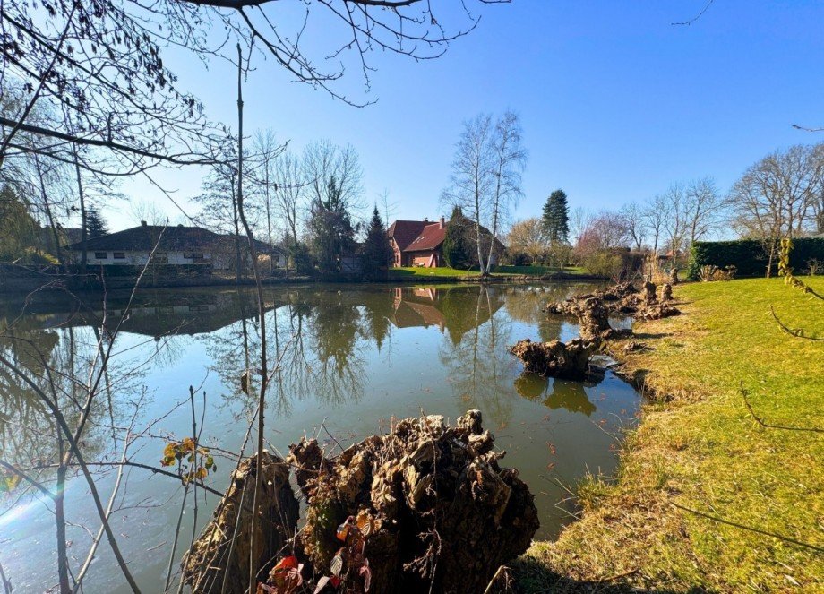 34 Umgebung Einfamilienhaus Blender